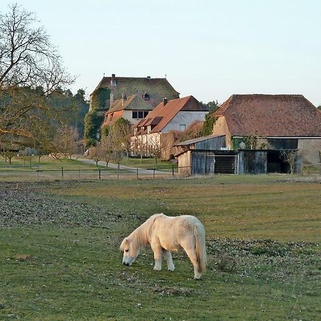 Elgersheimer Hof Volkach Exteriör bild