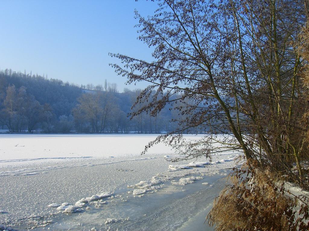 Elgersheimer Hof Volkach Exteriör bild