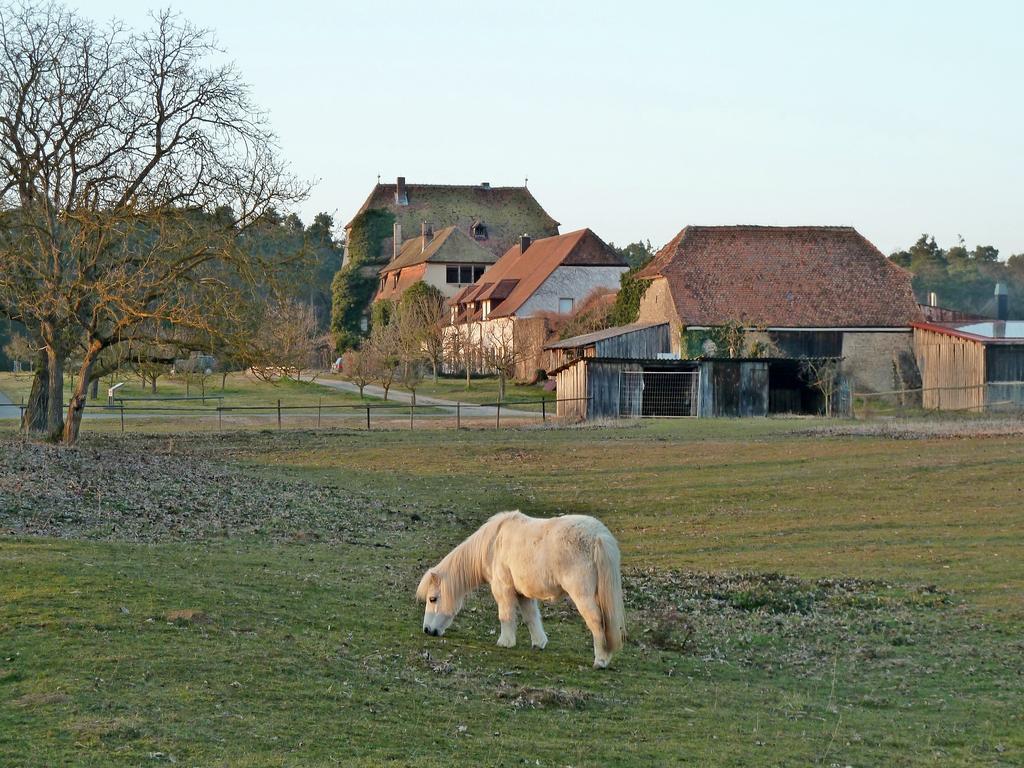 Elgersheimer Hof Volkach Exteriör bild
